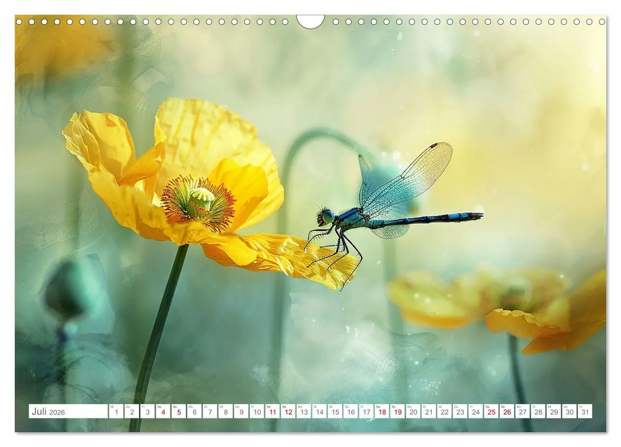 Bild: 9783457424100 | Bezaubernde Mohnblumen (Wandkalender 2026 DIN A3 quer), CALVENDO...